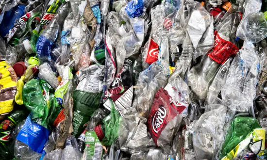 Beverage Companies Invest to Get Bottles Recycled, Not Trashed