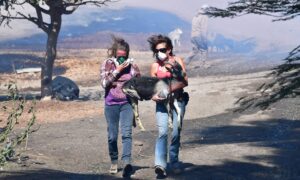 Hundreds of Goats Helped Save the Reagan Presidential Library