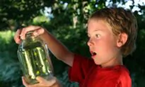 An Awesome Way to Make Kids Less Self-Absorbed