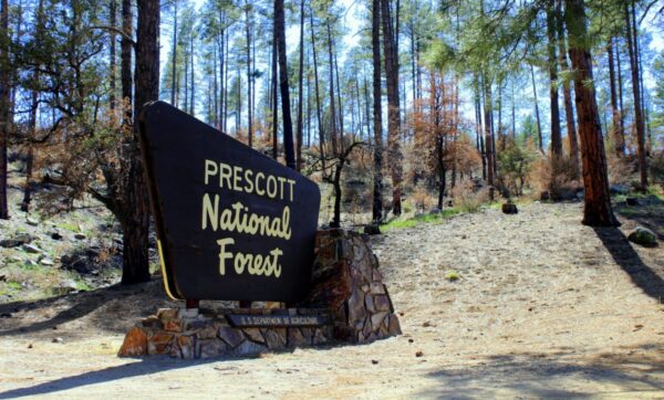 prescott-national-forest-1200x724