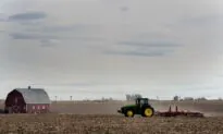 China’s Trade War Retaliation Against Trump’s Rural Base Boomerangs
