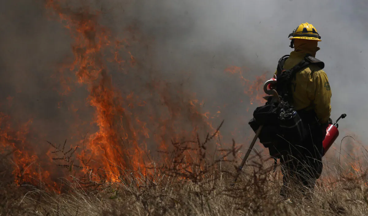 A Marin County Fire Department firefighter stands near burning brush during a controlled burn training in San Rafael, Calif., on June 19, 2019. (Justin Sullivan/Getty Images)