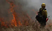 Stanford Scientists Invent Fire Prevention Gel