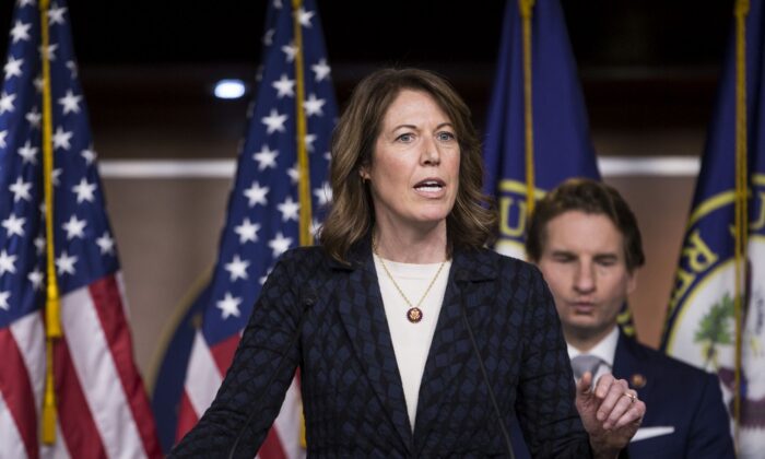Rep. Cindy Axne (D-IA) speaks during news conference discussing the "Shutdown to End All Shutdowns (SEAS) Act" on January 29, 2019 in Washington, DC. Also pictured is Rep. Dean Phillips (D-MN).  (Photo by Zach Gibson/Getty Images)