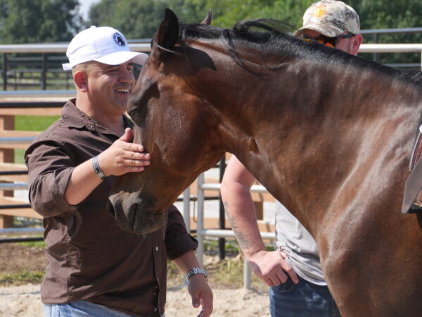 A veteran with a horse