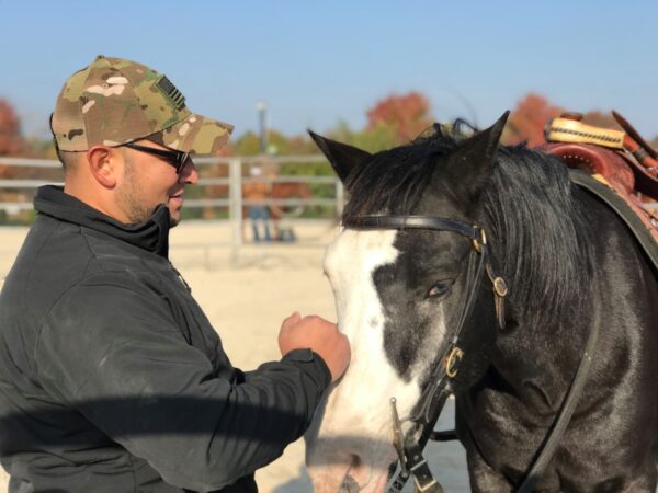 A veteran works with a horse