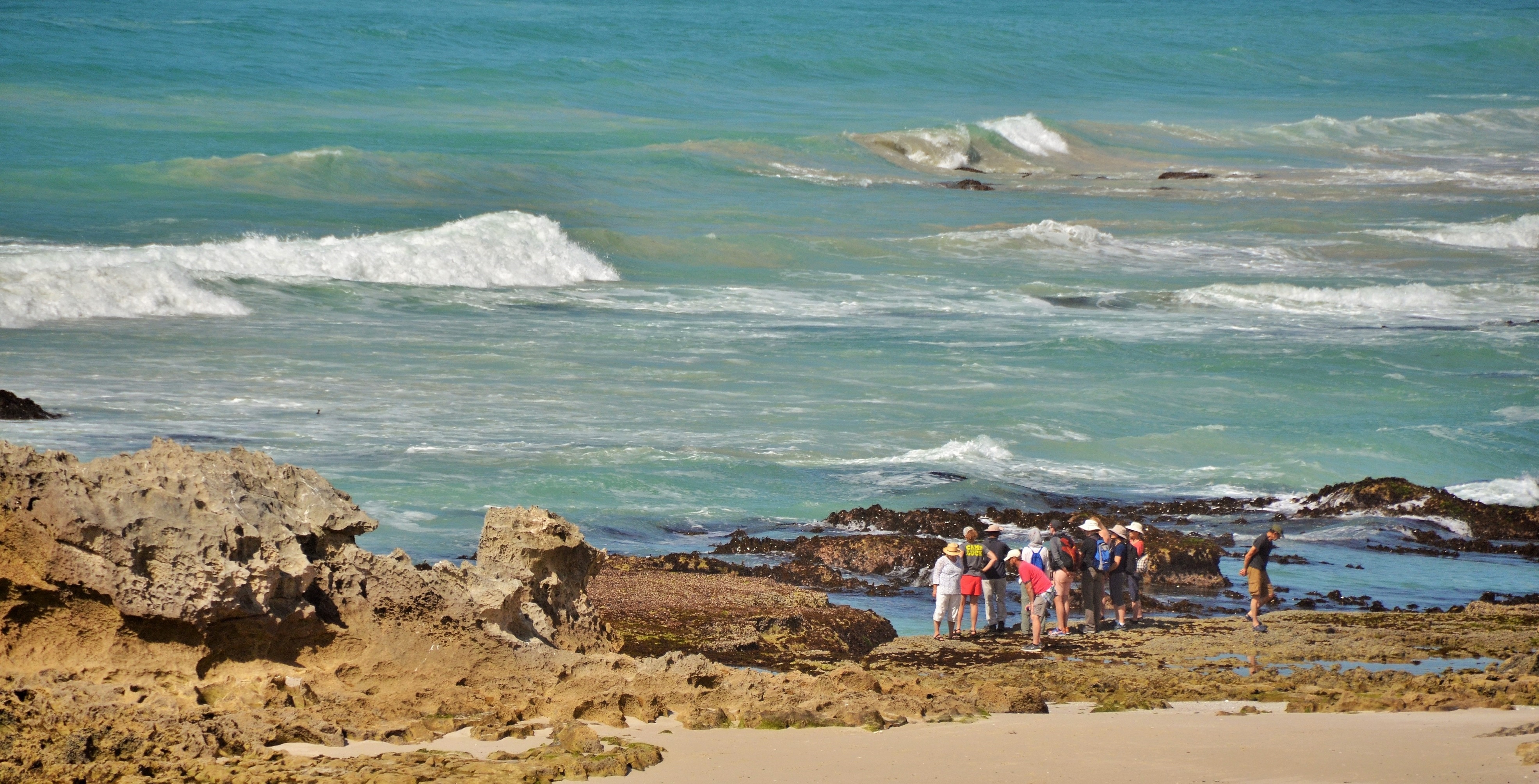 De Hoop Collection -Marine Walk