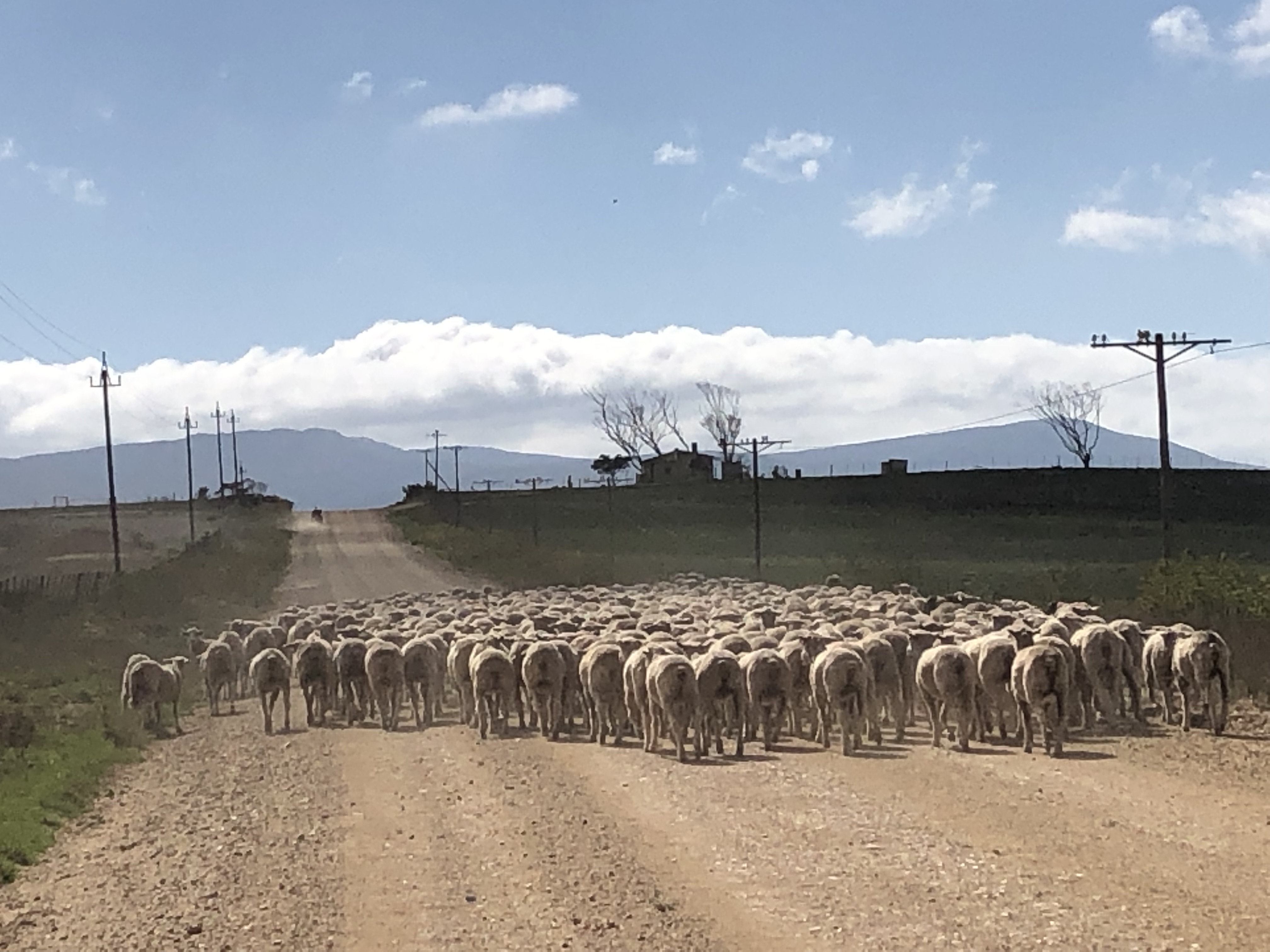 traffic jam