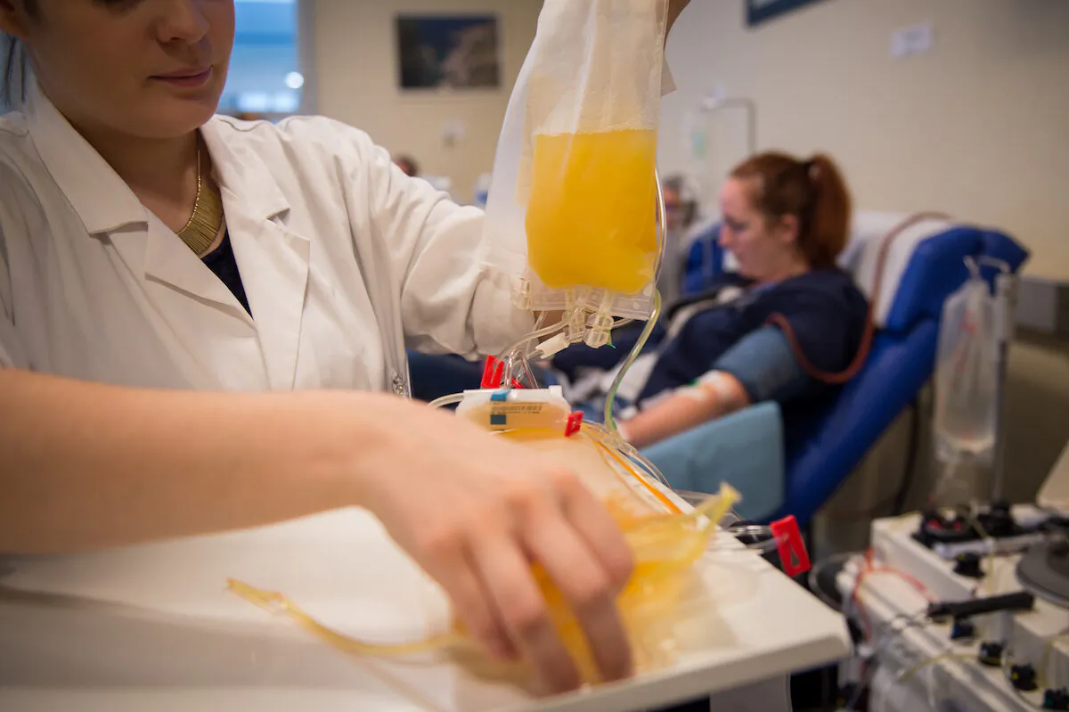 A nurse holds a plasma pocket. (Guillaume Souvant/AFP via Getty Images)