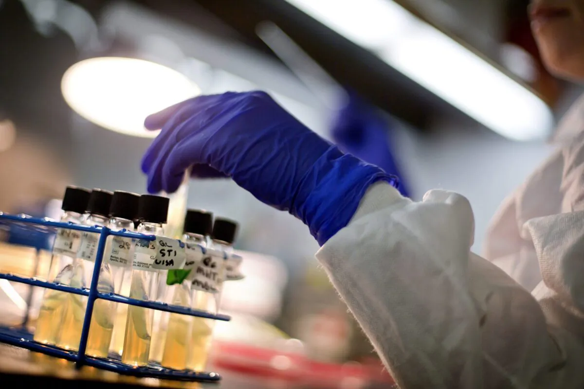 A microbiologist works with tubes of bacteria samples in an antimicrobial resistance and characterization lab at the Infectious Disease Laboratory at the Centers for Disease Control and Prevention in Atlanta, Georgia, in a file photo. (AP Photo/David Goldman)