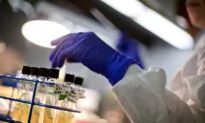 Tuberculosis Makes Comeback in US Amid Misdiagnosis and Illegal Immigration