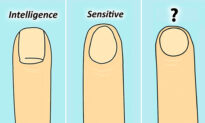 Your Nail Shape Reveals Something Interesting About Your Personality. Which One Is Yours?