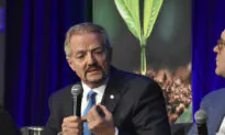 Democrats Urge Secretary Bernhardt to Remove Pendley as Leader of Bureau of Land Management