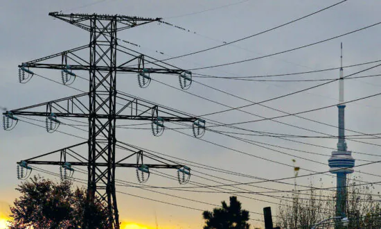 Raccoon Blamed for Power Outage That Left Downtown Toronto in the Dark