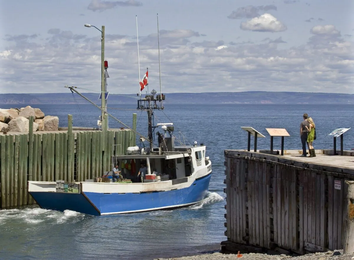 A fishing boat heads out into the Bay of Fundy from Hall's Harbour, N.S., in a file photo. (The Canadian Press/Andrew Vaughan)