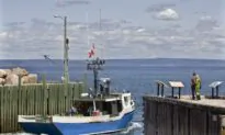 1.8 Million Items of Garbage Strewn Over Bay of Fundy Bottom, Study Estimates