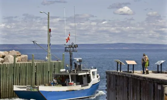 1.8 Million Items of Garbage Strewn Over Bay of Fundy Bottom, Study Estimates