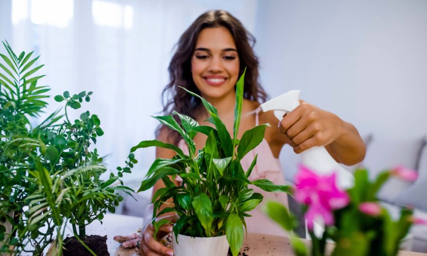 Take care of your plants, and they will take care of you. (Dragana Gordic/Shutterstock)