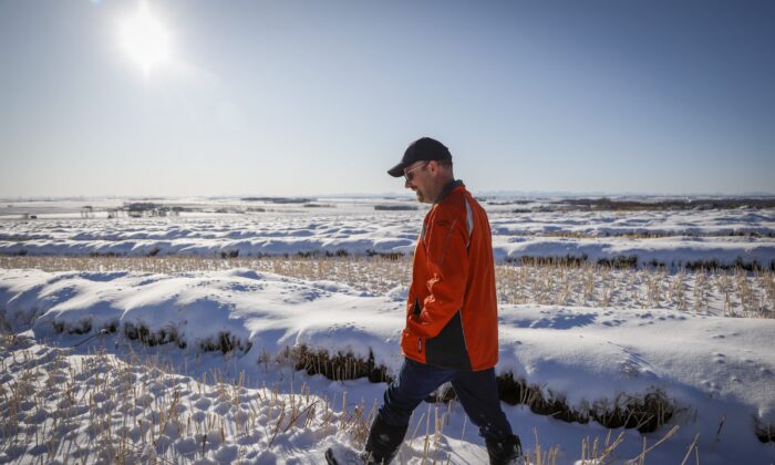 Cold Stormy Winter Forecast Across Much Of Canada Weather