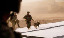 Gary Sinise Raises Funds for Brave Dogs Fighting Alongside Human Heroes on Veterans Day