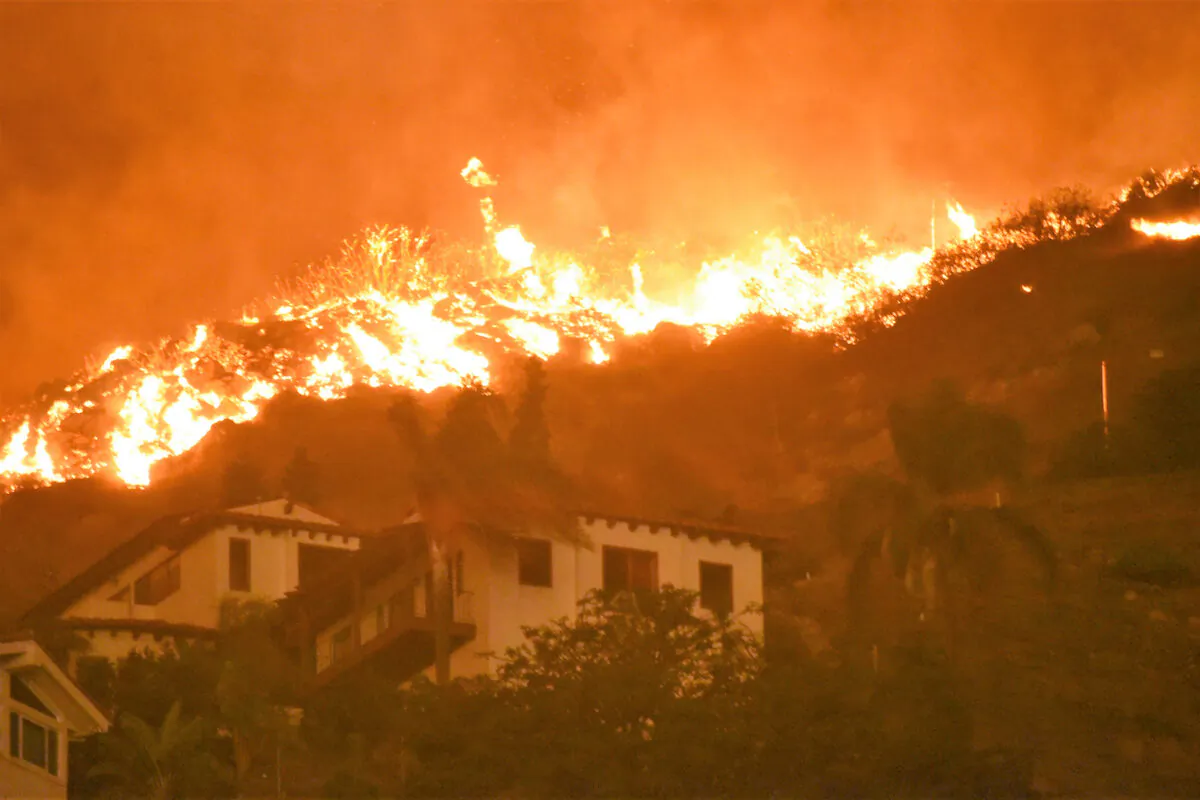 The Woosley wildfire burns in Malibu, California, in November 2018. (Courtesy of Kristin Crowley)