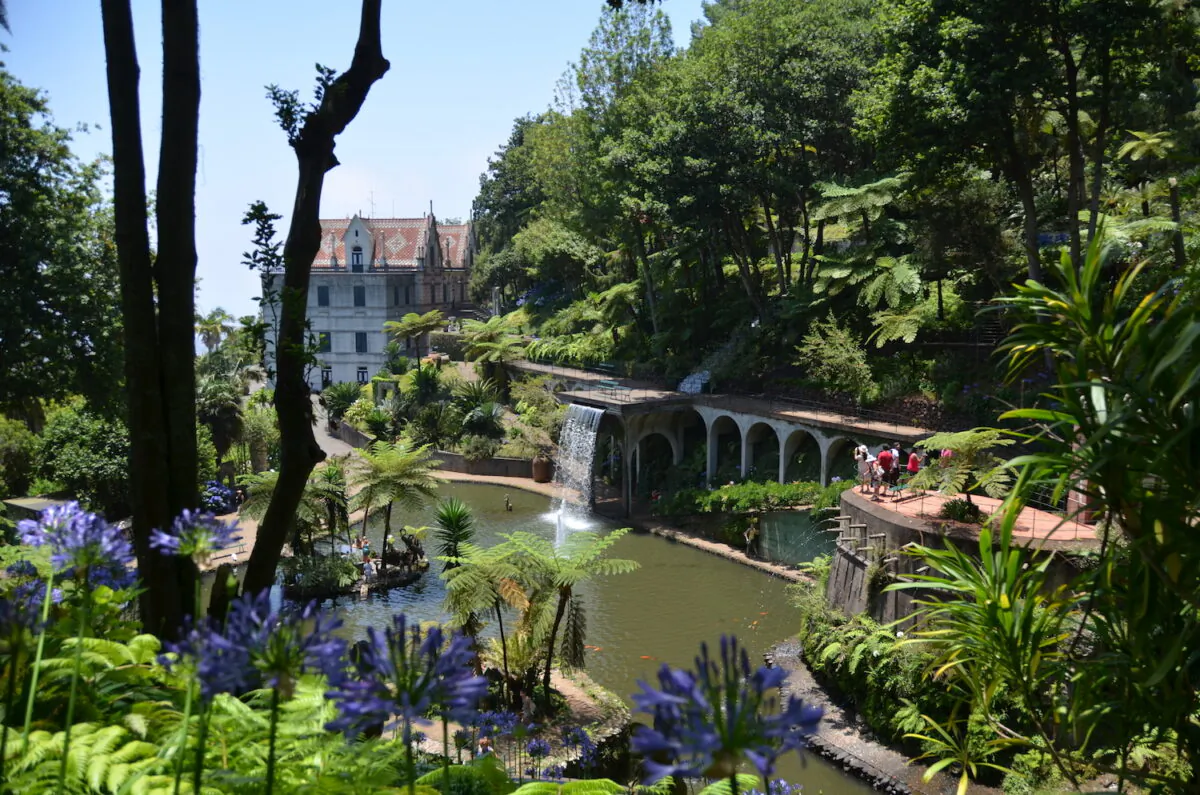 Monte Palace Madeira, a tropical garden with a huge exotic plant collection. (Francisco Correia)
