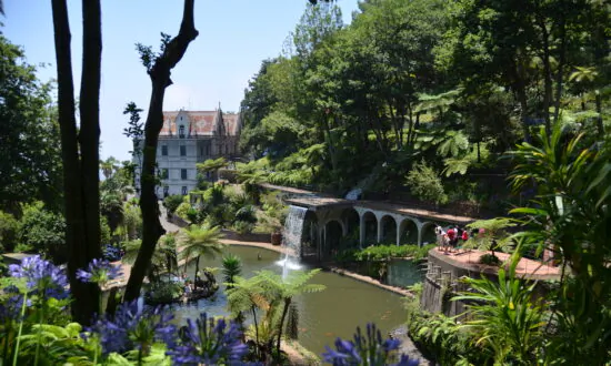 Ups and Downs in Madeira