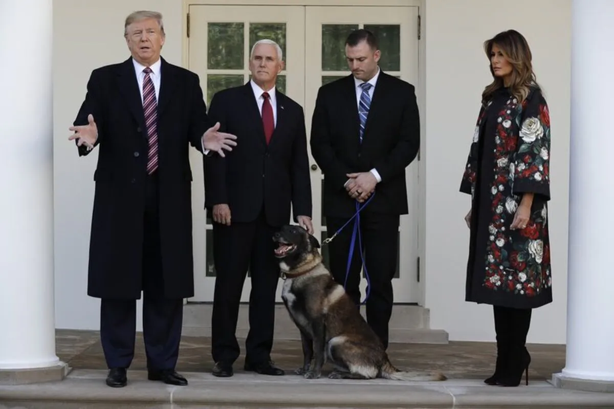 President Donald Trump, Vice President Mike Pence, and First Lady Melania Trump, present Conan, the military working dog injured in the successful operation targeting Islamic State leader Abu Bakr al-Baghdadi, before the media in the Rose Garden at the White House, in Washington on Nov. 25, 2019. (AP Photo/Evan Vucci)
