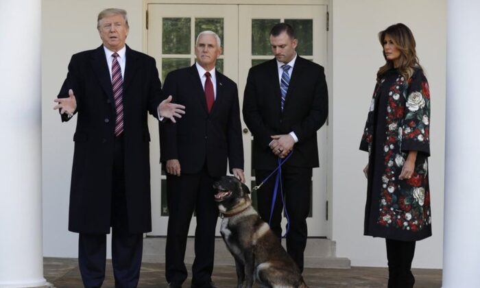 President Donald Trump, Vice President Mike Pence and first lady Melania Trump, present Conan, the military working dog injured in the successful operation targeting Islamic State leader Abu Bakr al-Baghdadi, before the media in the Rose Garden at the White House, Monday, Nov. 25, 2019 in Washington. (AP Photo/Evan Vucci)
