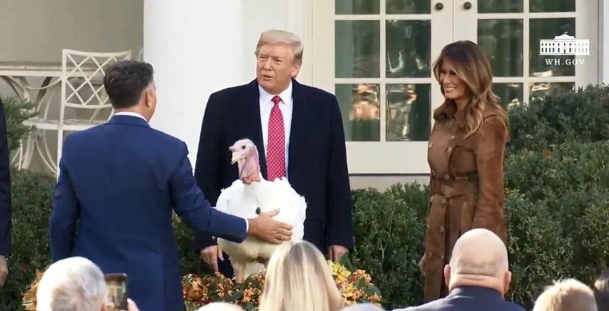 President Trump pardoned Butter the turkey, at the White House on Nov. 26, 2019. (White House)