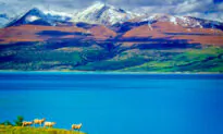 New Zealand: A Surfeit of Beauty