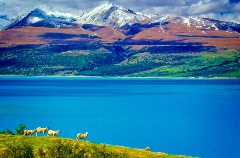 A view of Lake Pukaki from the road leading to Mount Cook National Park. (Fred J. Eckert)