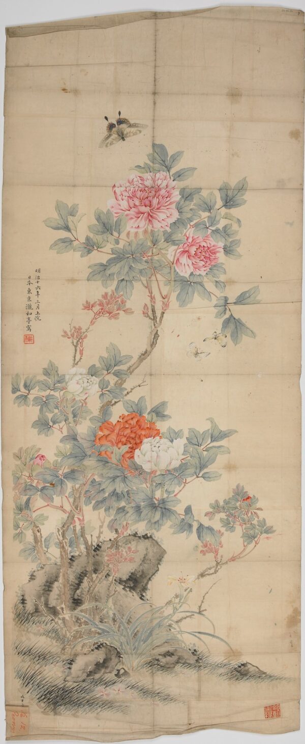 Bush peonies Taki Katei