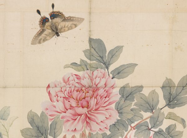 Peonies Taki Katei