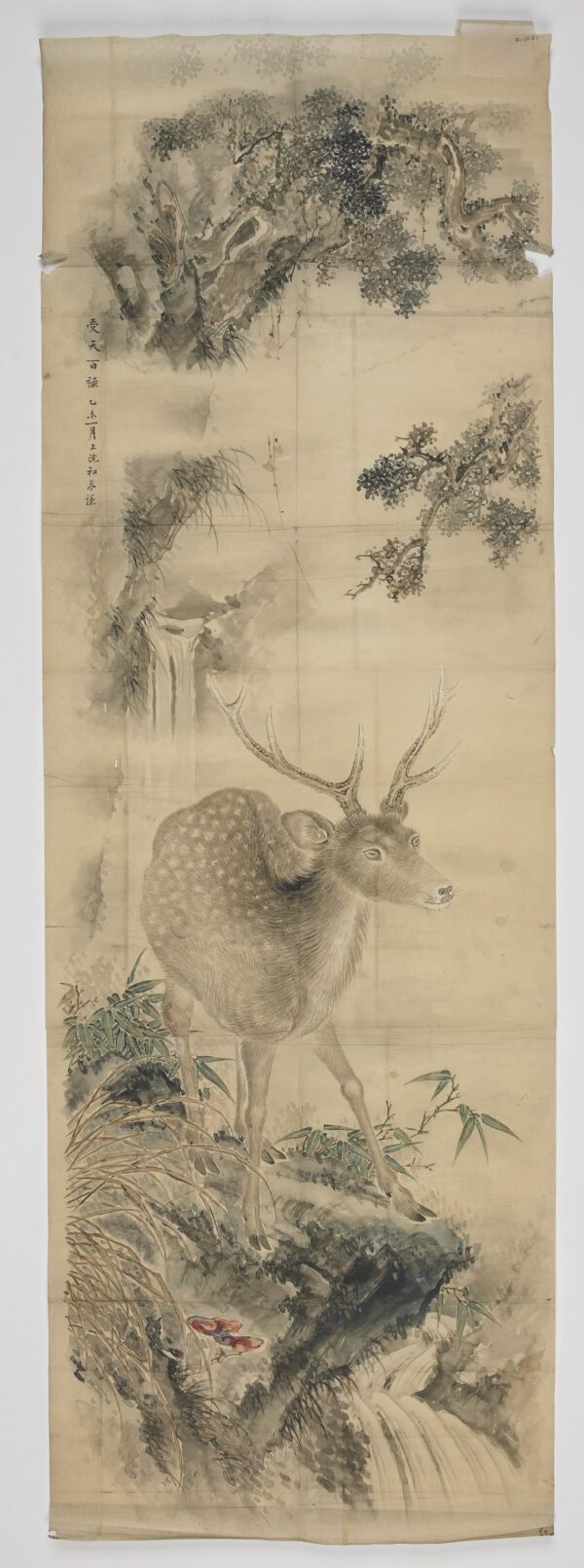Deer Taki Katei
