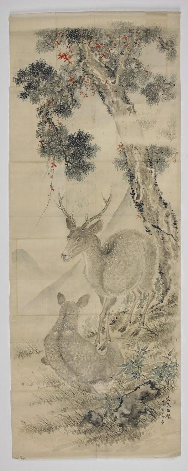 Deer Taki Katei