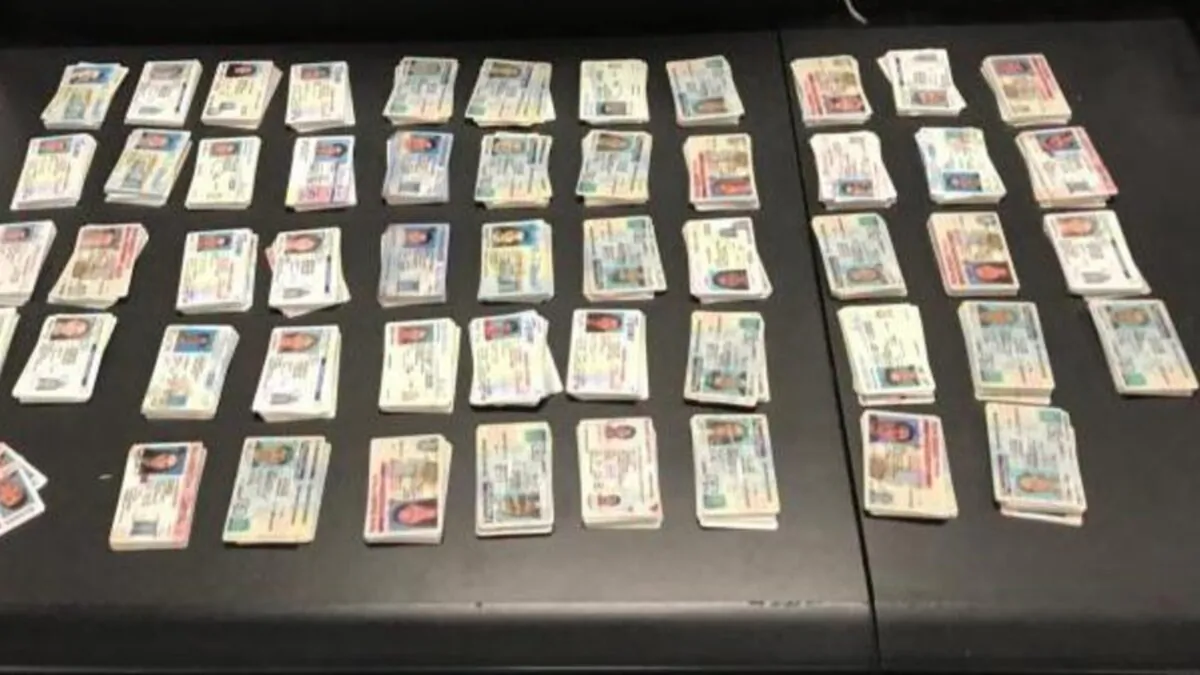 Counterfeit driver's licenses seized by U.S. Customs and Border Protections officers in Louisville, Ky. (U.S. Customs and Border Protections)