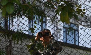 Not Just Spy Balloons: The CCP’s Expansive Spy Campaign Against America