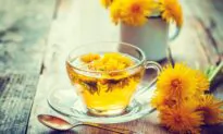 Today’s World Calls for a Radical Detox