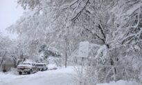 Winter Storms Expected to Bring Snow Across US