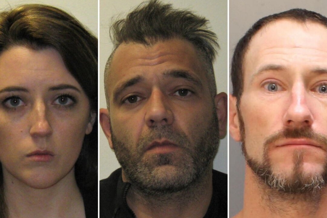 Man in 400,000 GoFundMe Scam Case Pleads Guilty and Agrees to 5year(01)