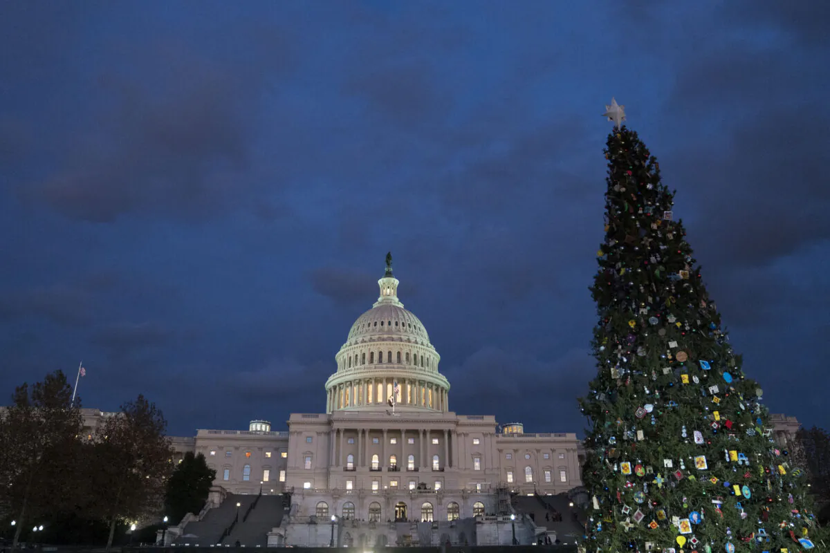 The U.S. Capitol in Washington on Dec. 4, 2019. (Sarah Silbiger/Getty Images)