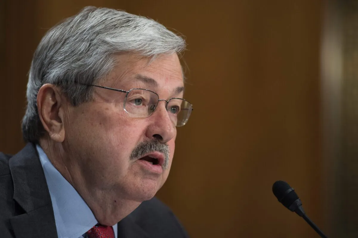 Terry Branstad testifies before the Senate Foreign Relations Committee on his nomination to be ambassador to China, on Capitol Hill on May 2, 2017. (Jim Watson/AFP via Getty Images)