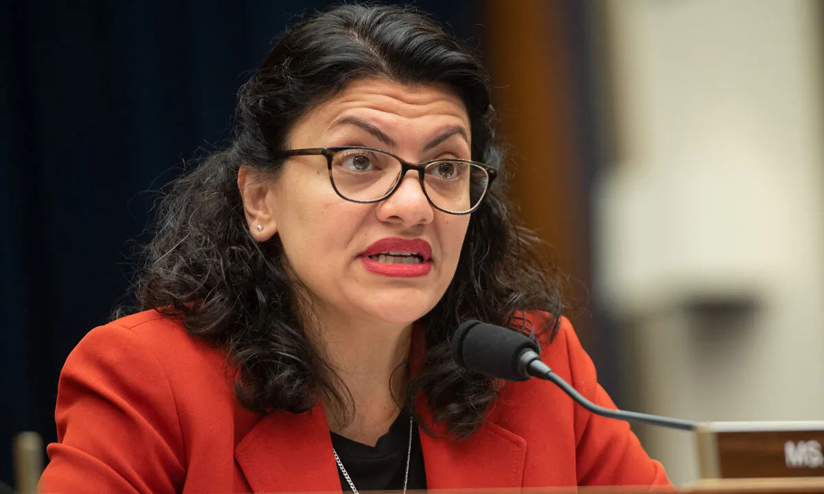 Rep. Rashida Tlaib (D-Mich.) questions U.S. Secretary of Treasury Steven Mnuchin as he testifies during a House Committee on Financial Services hearing on Capitol Hill in Washington on May 22, 2019. (Saul Loeb/AFP via Getty Images)
