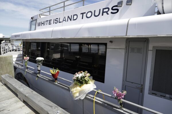 White Island tours