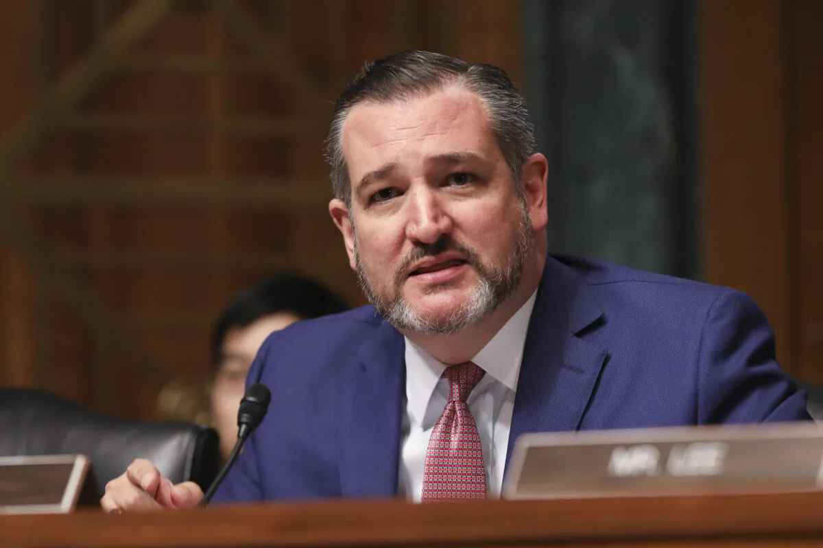 Sen. Ted Cruz (R-Texas) during a Senate Judiciary hearing about sanctuary jurisdictions, on Capitol Hill in Washington on Oct. 22, 2019. (Charlotte Cuthbertson/The Epoch Times)