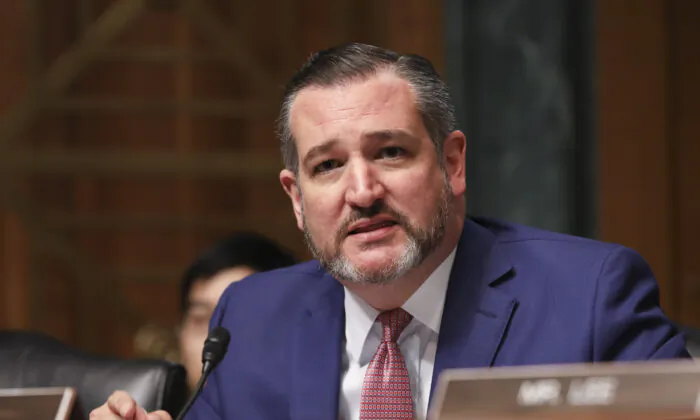 Sen. Ted Cruz (R-Texas) during a Senate Judiciary hearing about sanctuary jurisdictions, on Capitol Hill in Washington on Oct. 22, 2019. (Charlotte Cuthbertson/The Epoch Times)