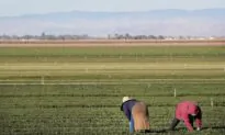 California’s Poor Water Policies Threaten Agricultural Supply