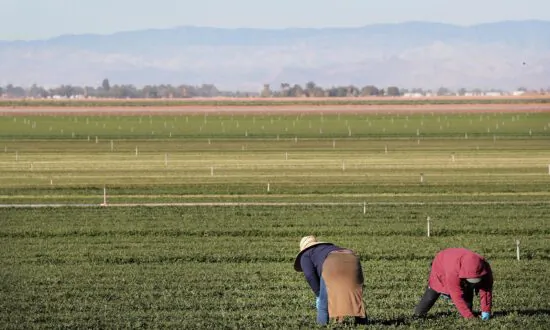 California’s Poor Water Policies Threaten Agricultural Supply
