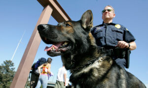 Texas Police Dogs Are Now Allowed to Be Adopted by Handlers After Retirement, per New Bill